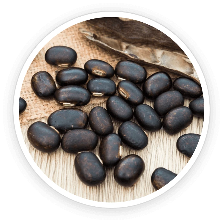Quietum Plus Ingredients Mucuna Pruriens & Maca Root