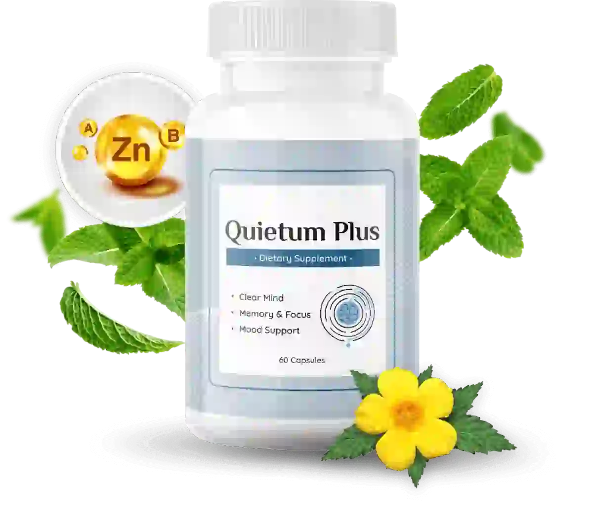 Quietum Plus Supplement Formula Banner